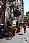 Click to see YDSC_4119.JPG