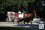 Click to see YDSC_4164.JPG