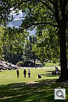 Click to see YDSC_4192.JPG