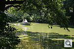 Click to see YDSC_4208.JPG