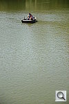 Click to see YDSC_4222.JPG