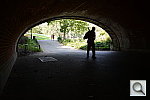 Click to see YDSC_4259.JPG