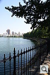 Click to see YDSC_4297.JPG