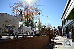 Click to see YDSC_0541.JPG