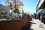 Click to see YDSC_0542.JPG