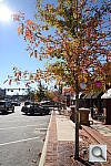 Click to see YDSC_0554.JPG