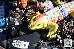 Click to see YDSC_0555.JPG