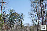 Click to see D7100PINE_ACRu250r03.JPG