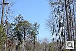 Click to see D7100PINE_VNX2.JPG