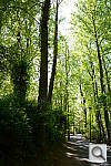 Click to see YDSC_0966.JPG
