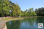 Click to see YDSC_0970.JPG