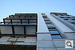Click to see YDSC_1106.JPG