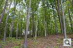 Click to see YDSC_1201.JPG