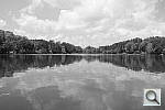 Click to see Y_FX_MONOCHROME_DSC_1178.JPG