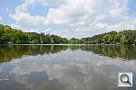 Click to see Y_FX_STANDARD_DSC_1175.JPG