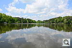 Click to see Y_FX_VIVID_DSC_1177.JPG