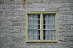 Click to see YDSC_0130.JPG
