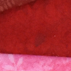 100% crop from Nikon D7200 test image taken at ISO 1600