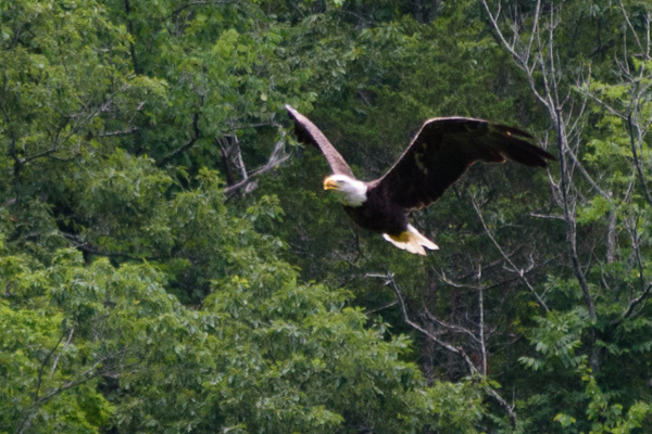 Nikon D7200 review -- Sample photo