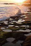 Click to see YDSC_1260.JPG
