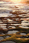 Click to see YDSC_1298.JPG