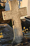 Click to see YDSC_1317.JPG