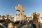 Click to see YDSC_1357.JPG