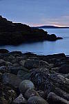Click to see Y_DSC0274.JPG