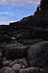 Click to see Y_DSC0280.JPG