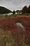 Click to see Y_DSC0353.JPG