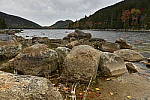 Click to see Y_DSC0382.JPG