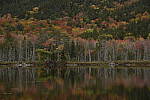 Click to see Y_DSC0398.JPG