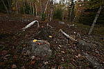 Click to see Y_DSC0422.JPG