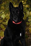 Click to see Y_DSC0552.JPG