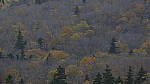 Click to see Y_DSC0739.JPG