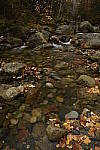 Click to see Y_DSC0812.JPG