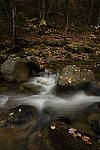 Click to see Y_DSC0839.JPG