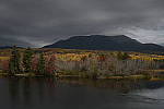 Click to see Y_DSC0872.JPG