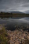 Click to see Y_DSC0894.JPG