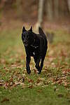 Click to see Y_DSC0962.JPG