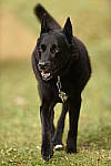 Click to see Y_DSC0975.JPG