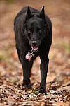 Click to see Y_DSC1123.JPG