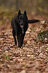 Click to see Y_DSC1144.JPG