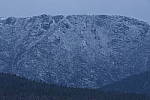 Click to see Y_DSC1162.JPG