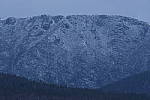 Click to see Y_DSC1163.JPG