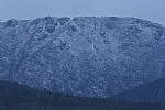 Click to see Y_DSC1165.JPG