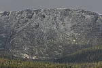 Click to see Y_DSC1184.JPG