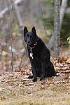 Click to see Y_DSC1241.JPG