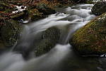Click to see Y_DSC1709.JPG