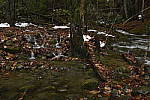 Click to see Y_DSC1716.JPG